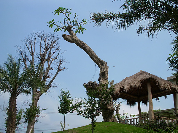 DSCN8054.JPG