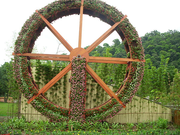 DSCN7934.JPG