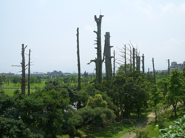 DSCN8117.JPG
