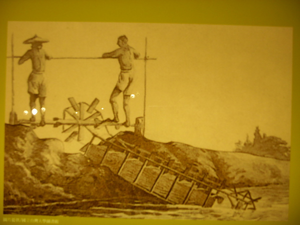 DSCN7898.JPG