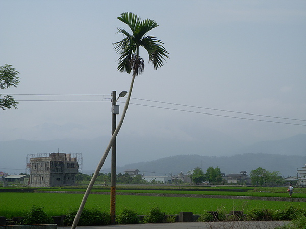 DSCN8042.JPG