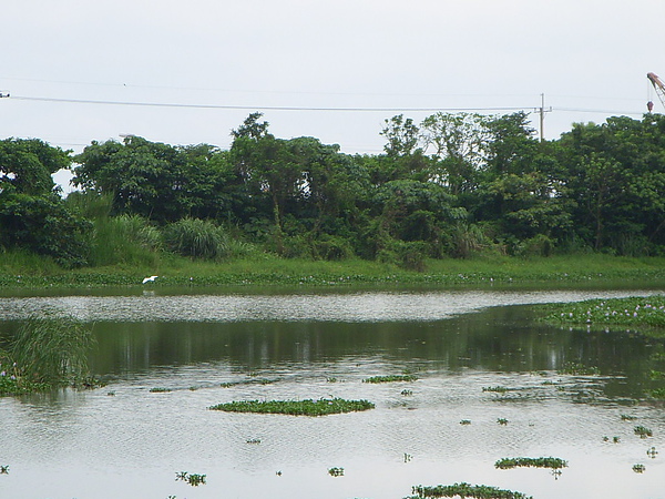 DSCN7918.JPG