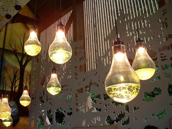 DSCN7986.JPG