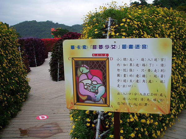 DSCN7969.JPG