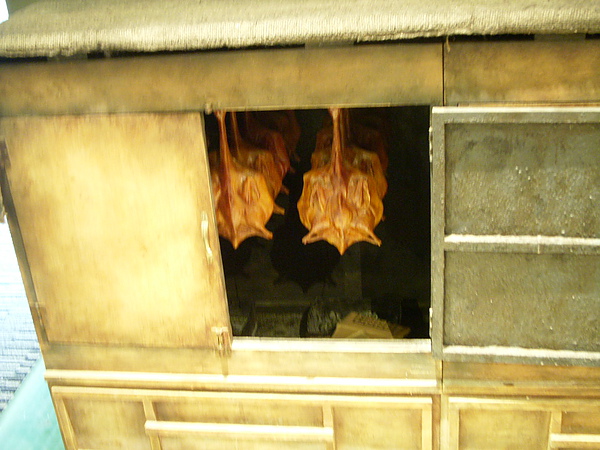DSCN7910.JPG