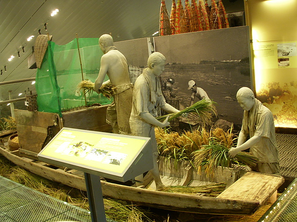 DSCN7900.JPG