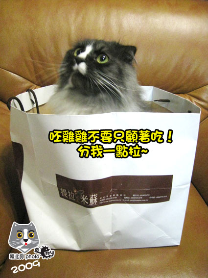 250.jpg 250.jpg
