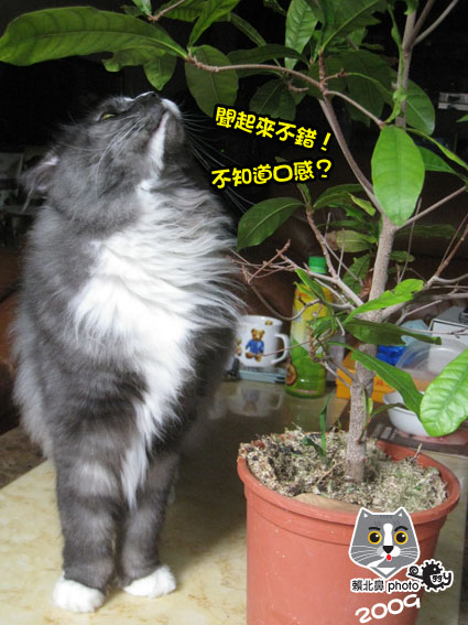 256.jpg 256.jpg