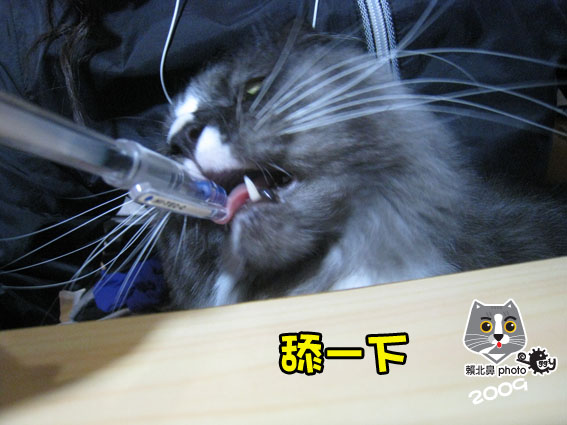 269.jpg 269.jpg