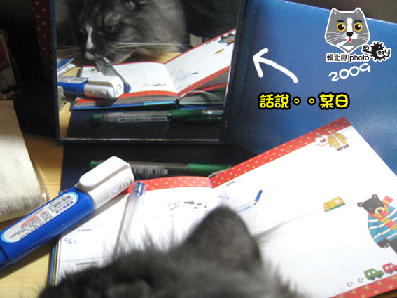 263.jpg 263.jpg