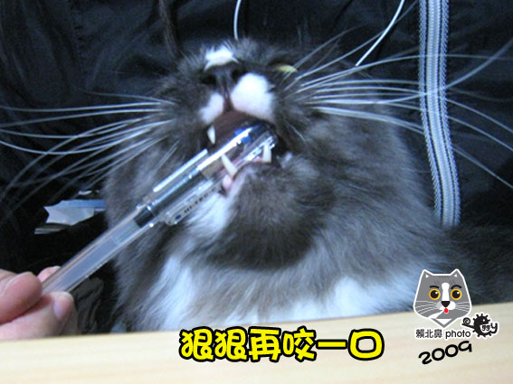 277.jpg 277.jpg