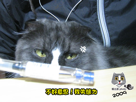 276.jpg 276.jpg