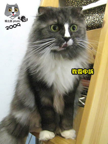 278.jpg 278.jpg