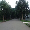 0626-東海大學-40.JPG