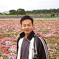 2009新社花海節108.jpg