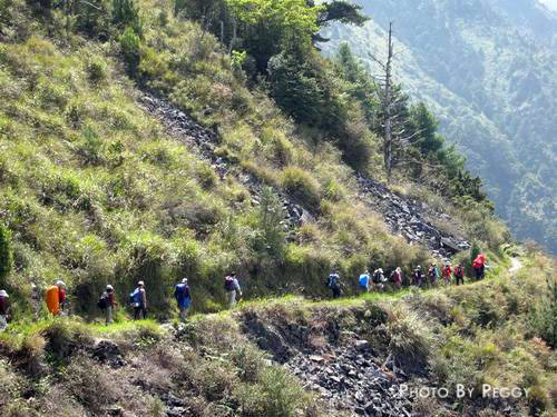 前往排雲山莊的山腰路