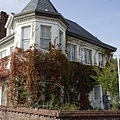 DSC07712