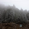 2011-01-02-太平山-60.jpg