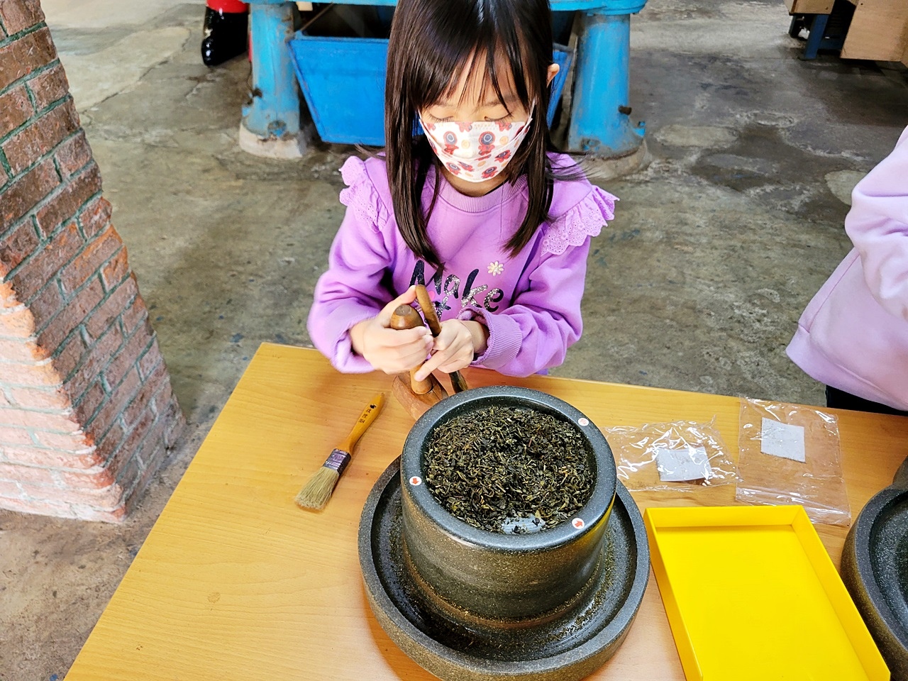 桃園民宿管家學校-桃園旅遊推薦-烏樹林從前從前-和風山莊-山蘇的故鄉