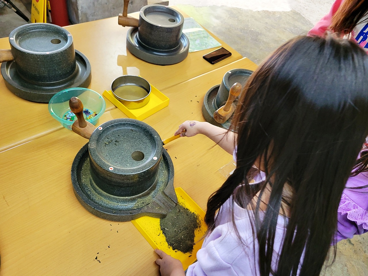 桃園民宿管家學校-桃園旅遊推薦-烏樹林從前從前-和風山莊-山蘇的故鄉