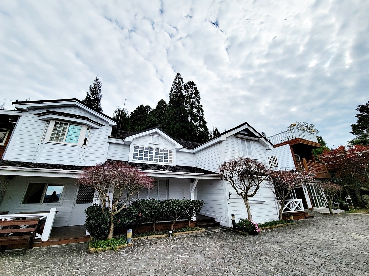 桃園民宿管家學校-桃園旅遊推薦-烏樹林從前從前-和風山莊-山蘇的故鄉