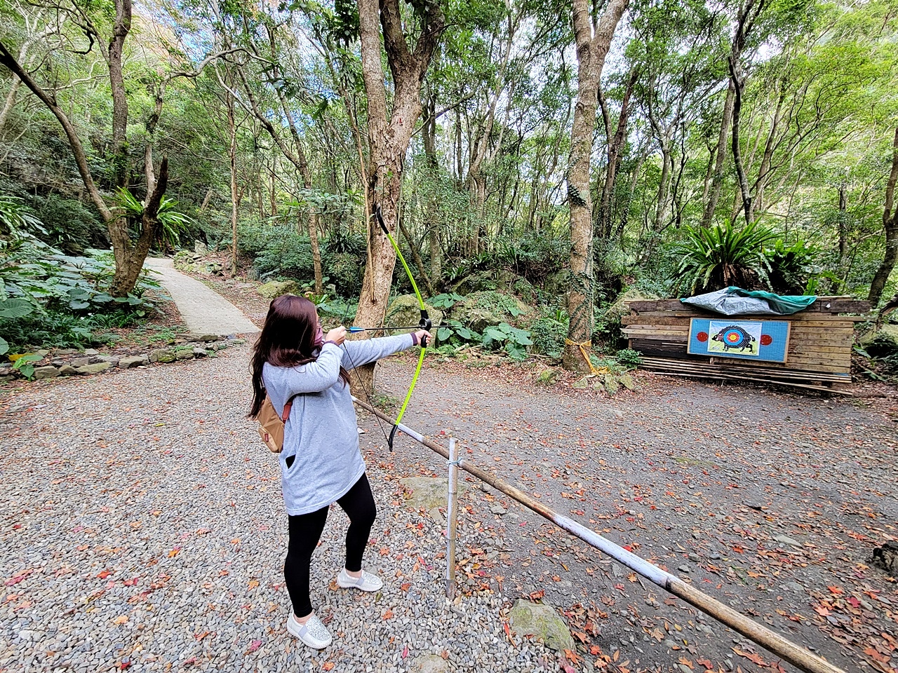 桃園民宿管家學校-桃園旅遊推薦-烏樹林從前從前-和風山莊-山蘇的故鄉