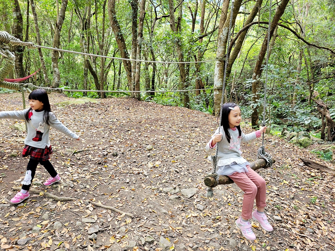 桃園民宿管家學校-桃園旅遊推薦-烏樹林從前從前-和風山莊-山蘇的故鄉