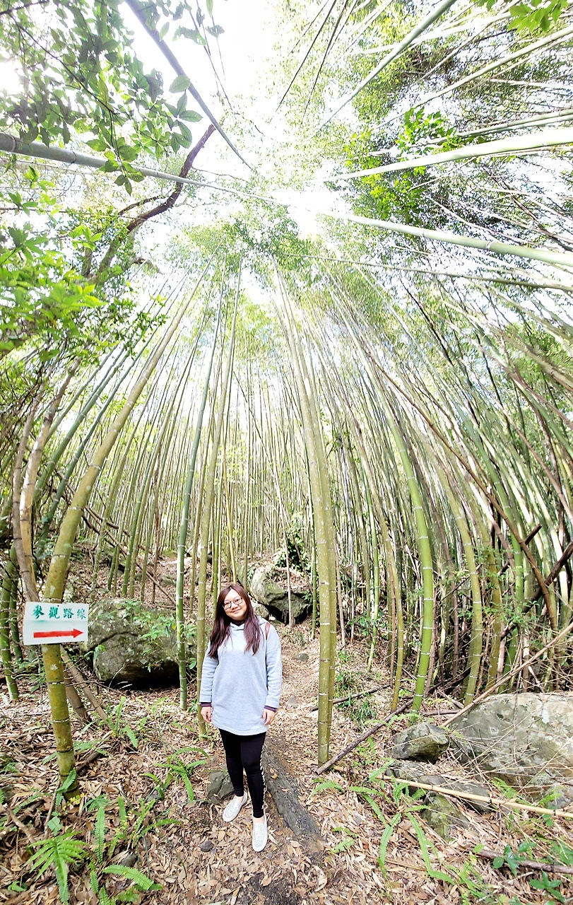 桃園民宿管家學校-桃園旅遊推薦-烏樹林從前從前-和風山莊-山蘇的故鄉