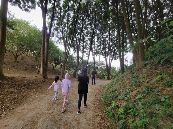 【親子旅遊】採苦茶籽體驗~秘境之旅-《大地農場》，一個新開放