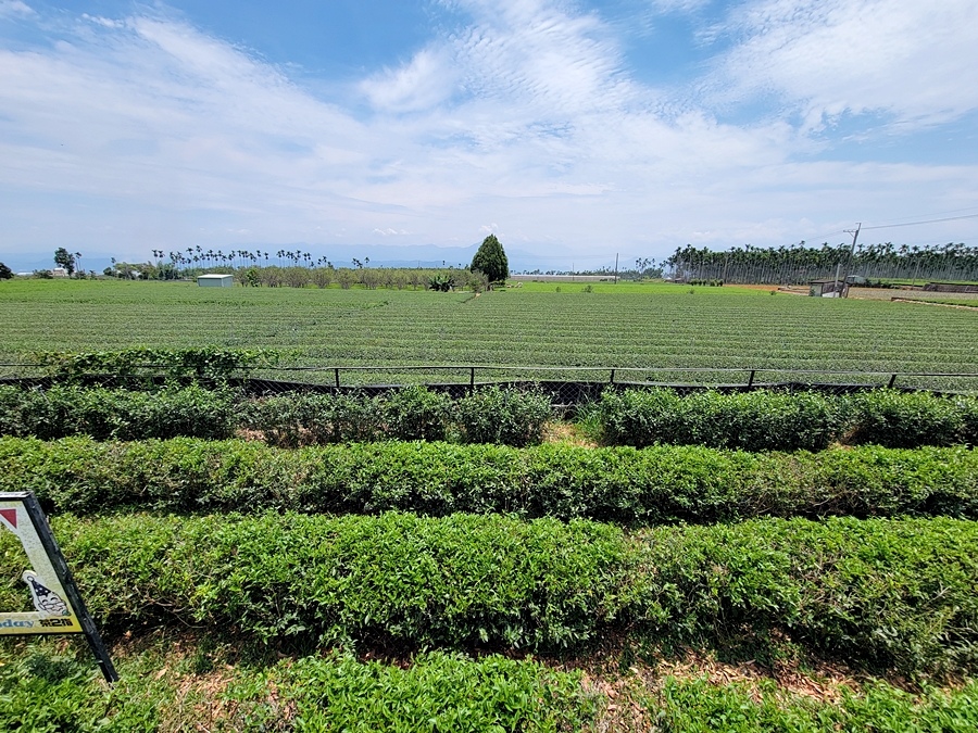 茶二指故事館#茶二指故事館評價#茶二指故事館評論#南投景點推薦#旅遊推薦#景點推薦#第一味#TEA TOP第一味#TEA TOP#