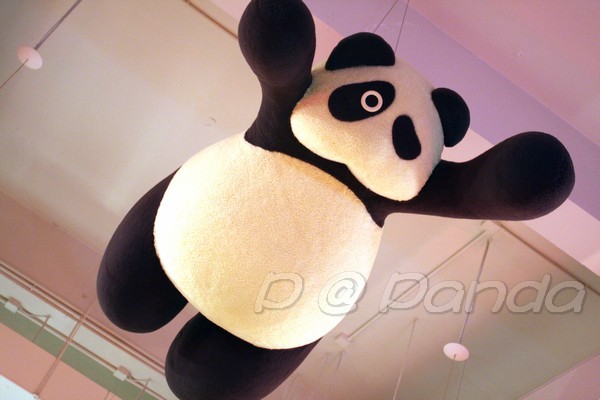 Panda -- 熊貓玩偶