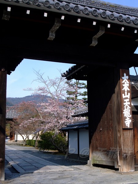 天龍寺 -- 正門