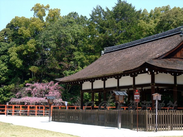 上賀茂神社 
