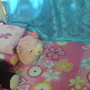 DSC00623.JPG DSC00623.JPG
