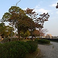 P1000239.JPG