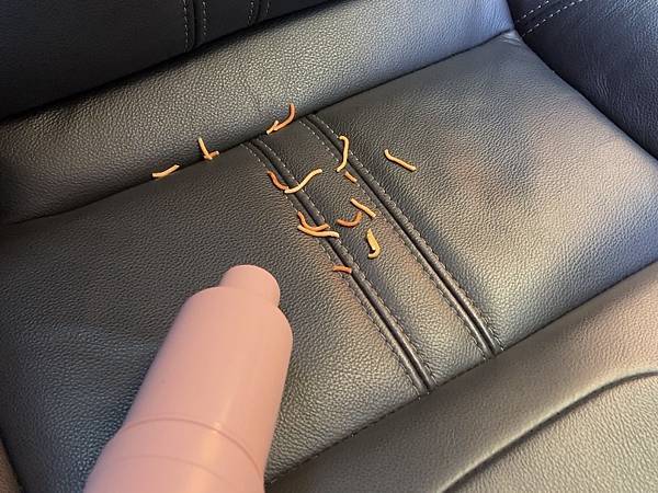 IMG_3606.PNG 超好用隨身吸塵器【SANSUI山水】輕淨吸迷你無線吸塵器+專用塵螨機 可無線手持 輕巧方便 居家車用清潔一機多用