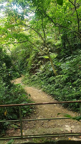 【行走-北台】週末踏青好去處-挑戰-桃園市楊梅「福人登山步道