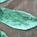 a9.jpg