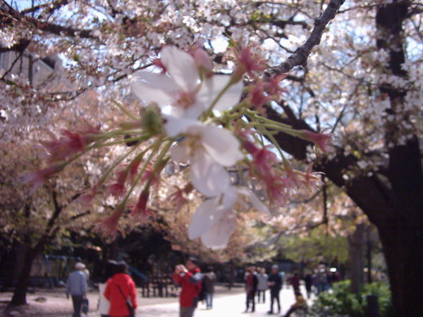 0405 上野