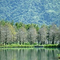 雲山水