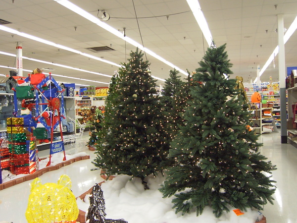 x'mas tree in Bi-Mart