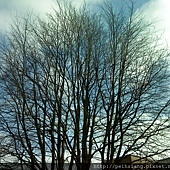 There is a bit of blue sky.