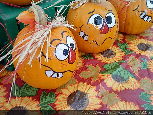 There are cute pumpkins on the table.