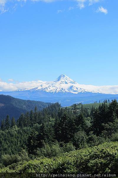 Mt. Hood