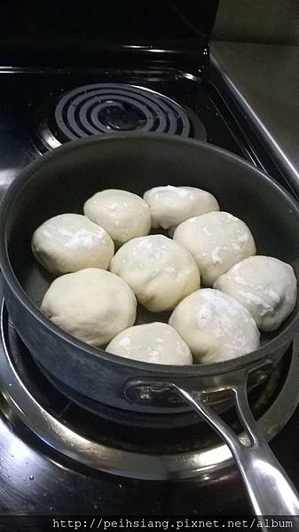 pan-fried dumpling