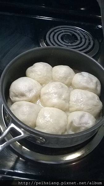 pan-fried dumpling