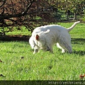 Casper enjoys the sunshine!