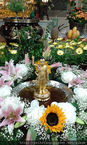 buddha's birthday