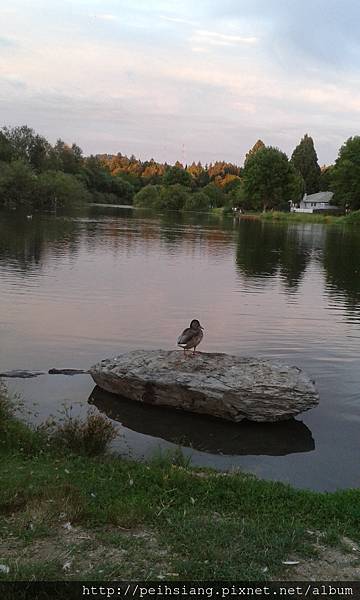 Commonwealth Lake Park