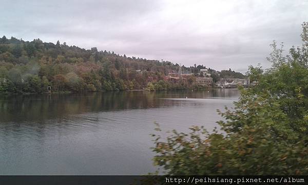 Willamette river